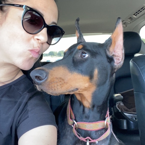 ❤️Nova❤️My Heart❤️ - Picture 11 of 16